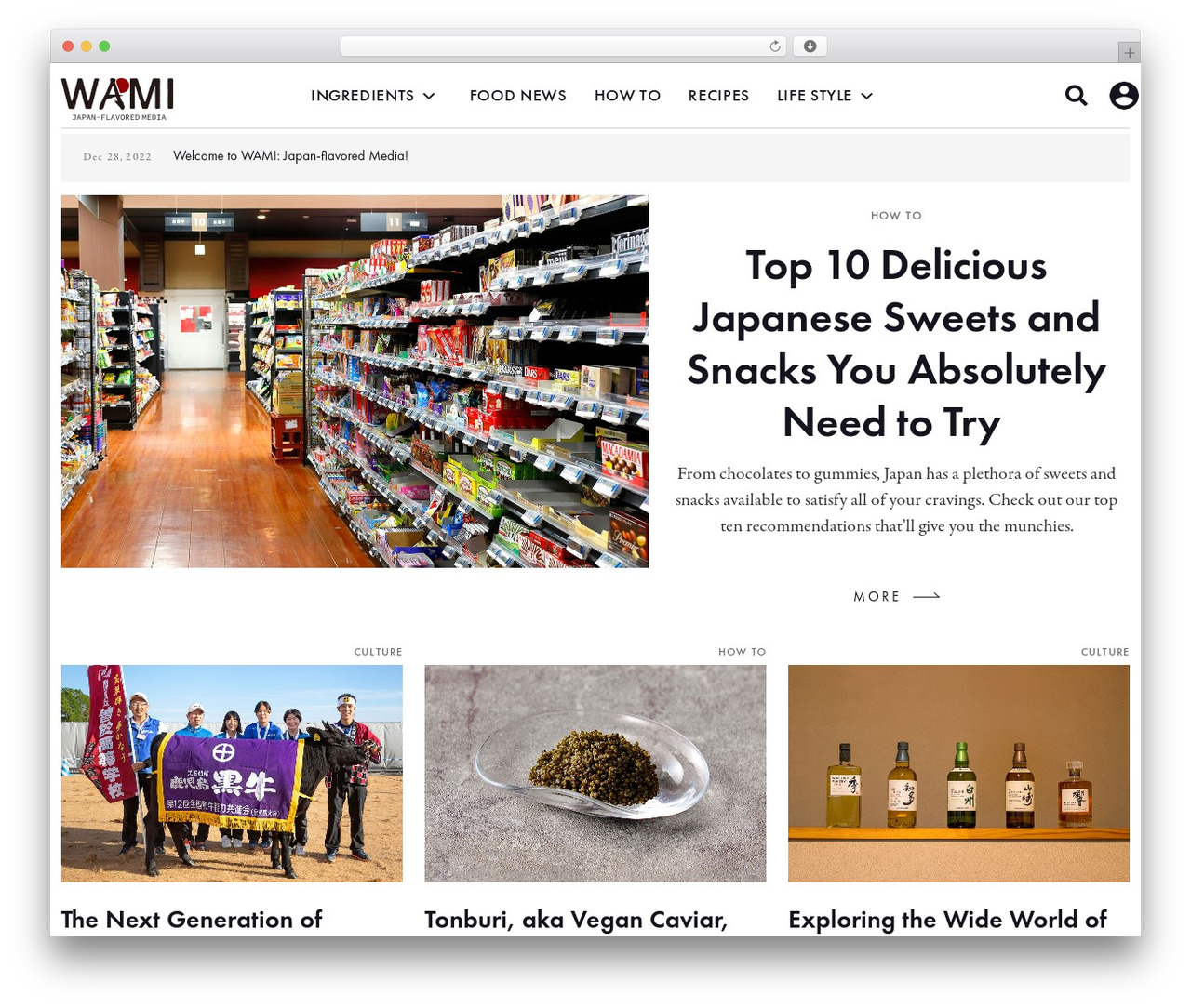 WAMI Theme theme WordPress - wami-japan.com WAMI Theme theme WordPress - wami-japan.com