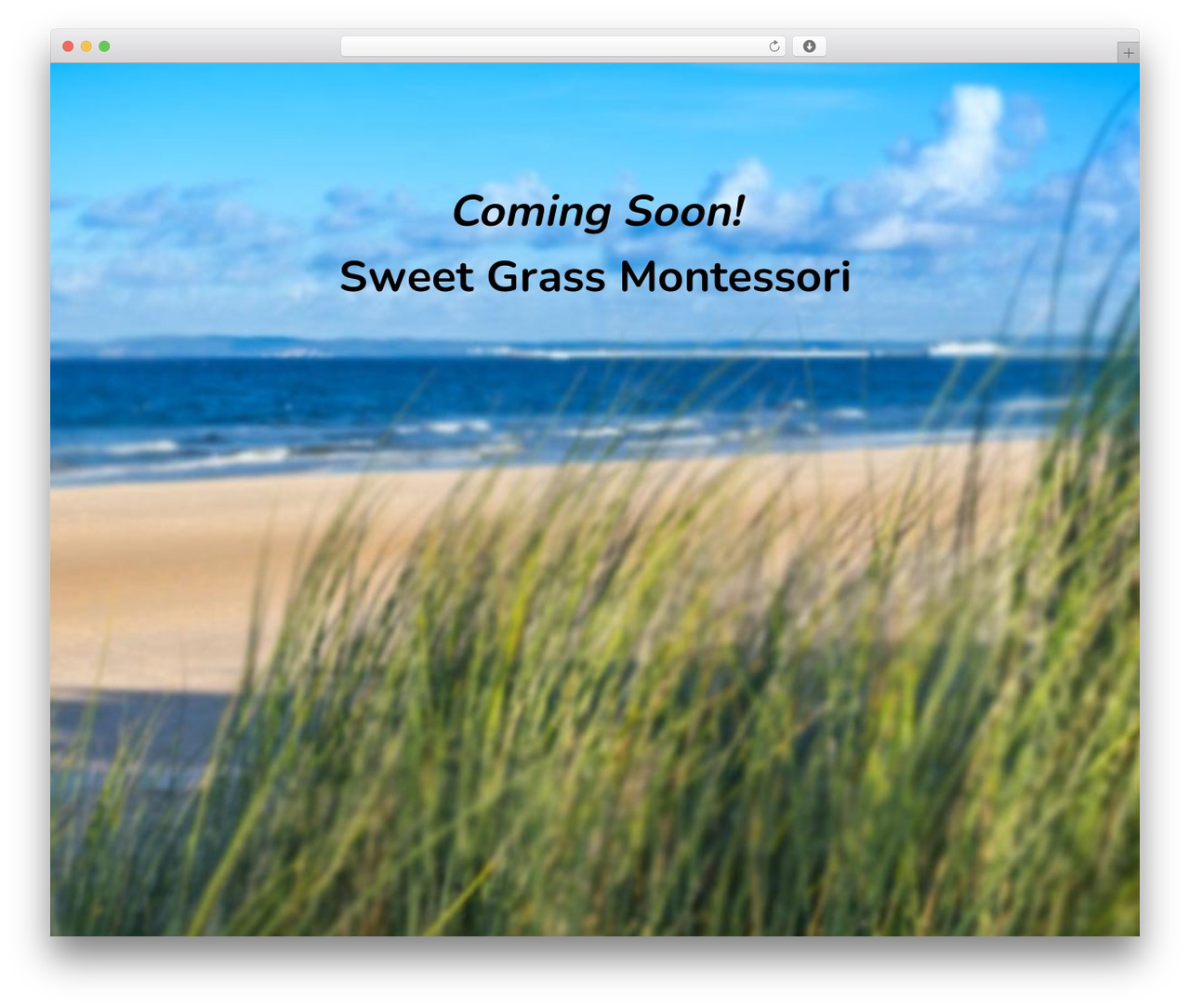 WordPress theme Divi - sweetgrassmontessori.com
