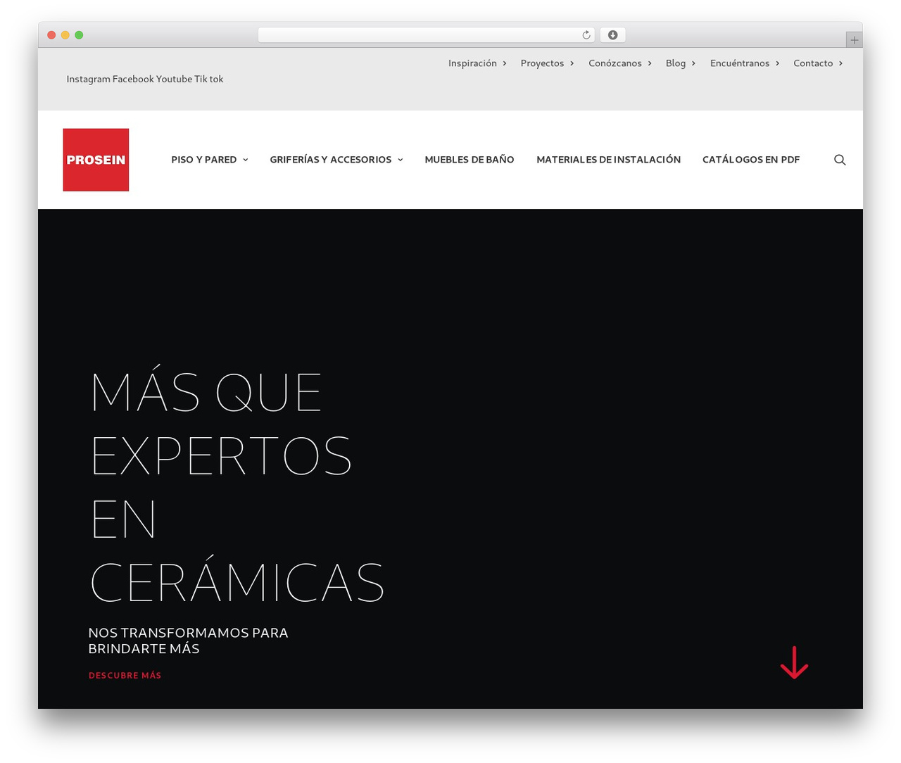 WordPress website theme Xana Theme - prosein.com