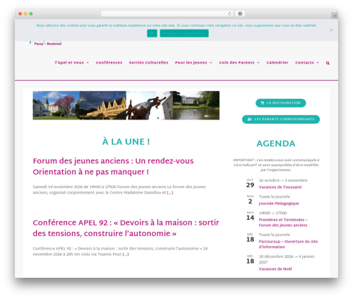 Bis mega enterprise platform WordPress plugin - apelpassy.fr