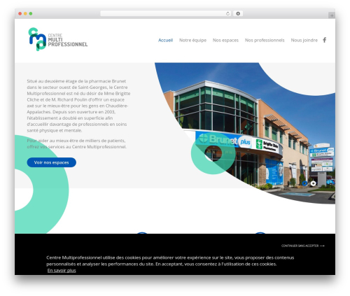 Mma privacy policy gtm manager WordPress plugin - centremultiprofessionnel.com