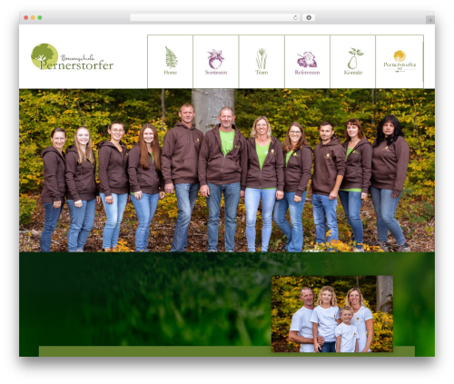 Wp mega menu pro WordPress plugin - pernerstorfer.at
