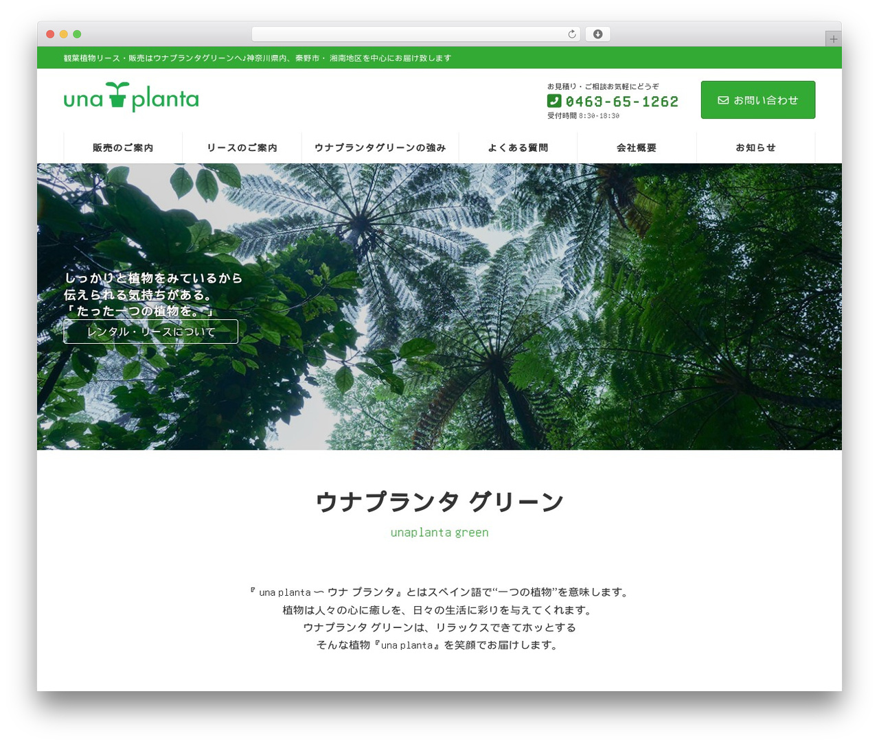 Lightning WordPress theme - unaplanta-green.com