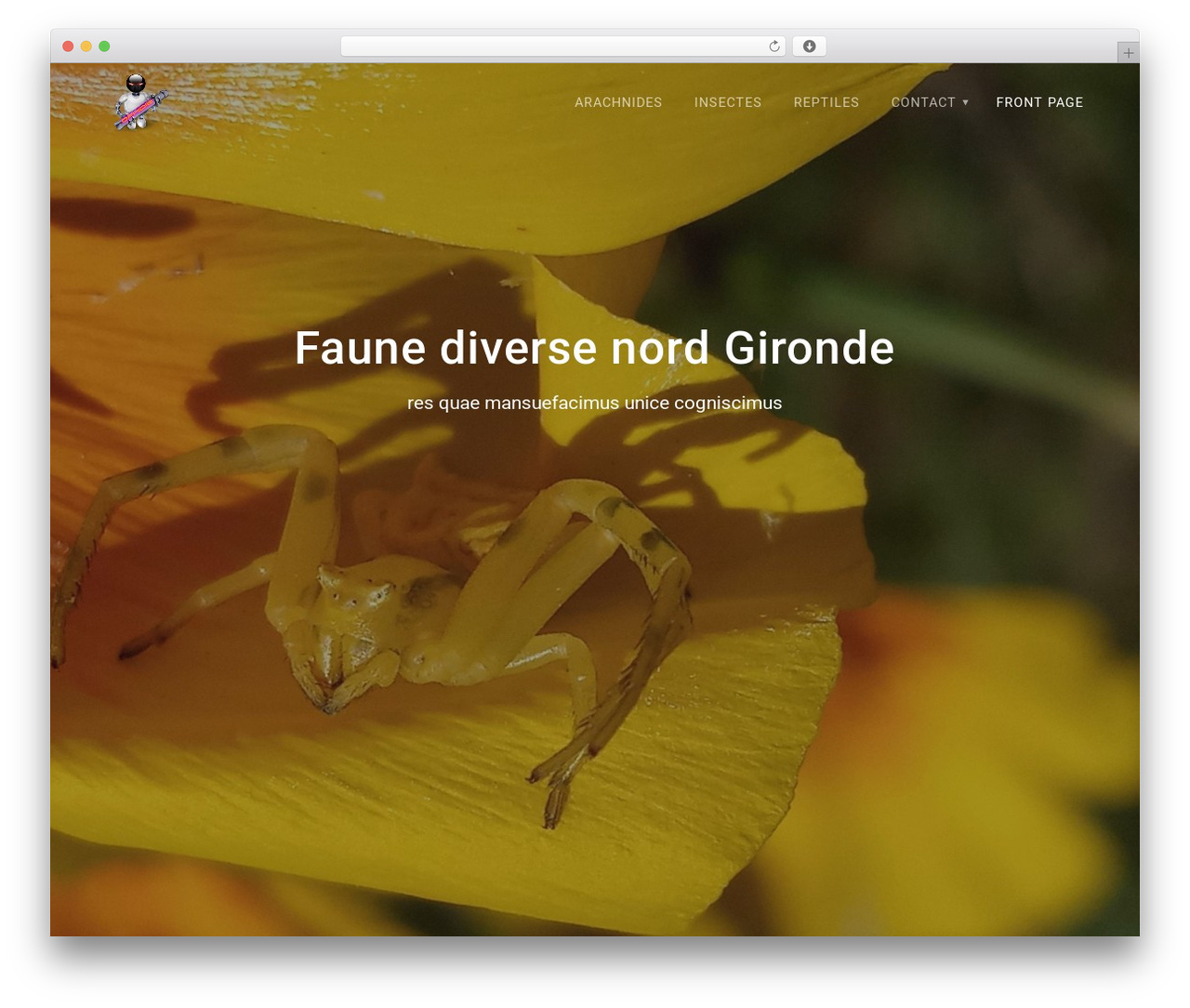 Materialis WordPress theme - ophidie.fr Materialis WordPress theme - ophidie.fr