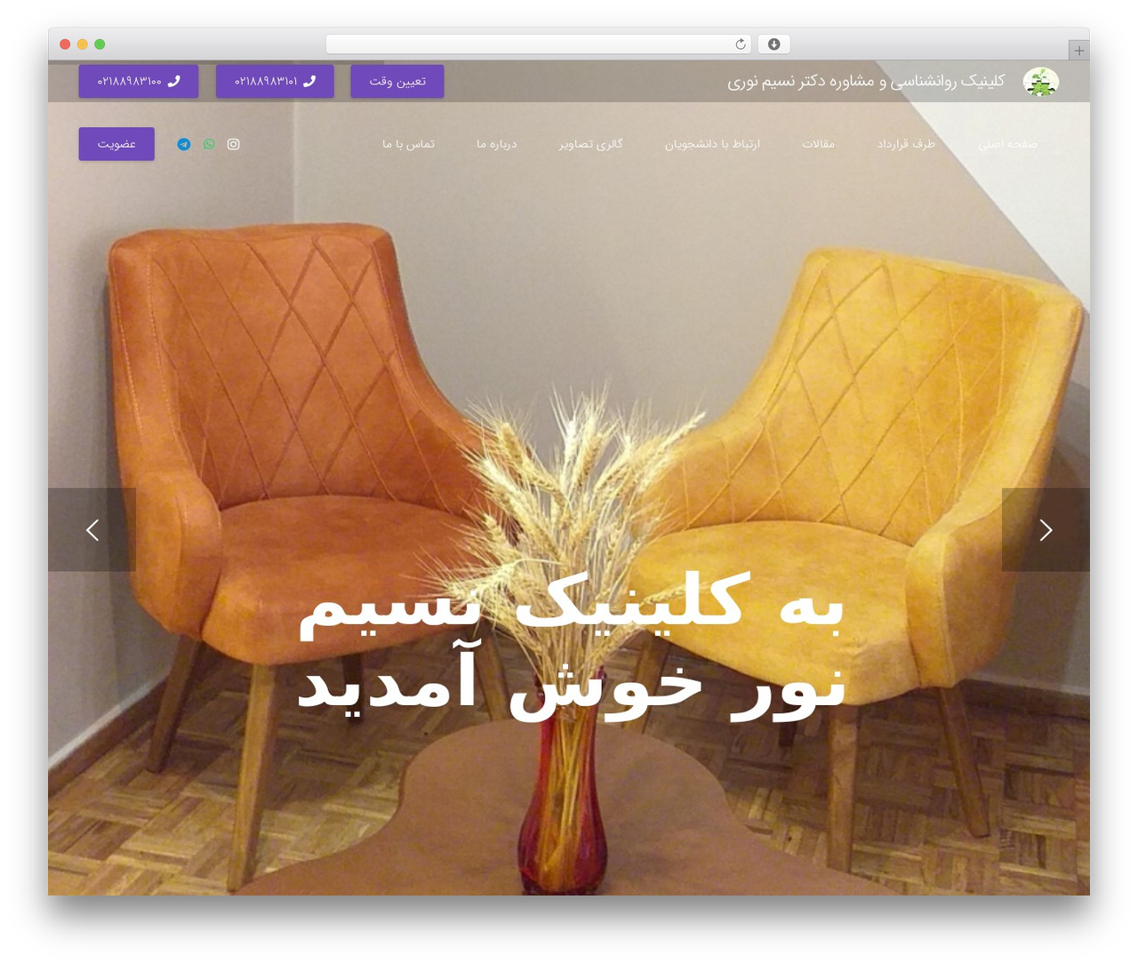 Theme WordPress Zephyr - drnasimnouri.com Theme WordPress Zephyr - drnasimnouri.com