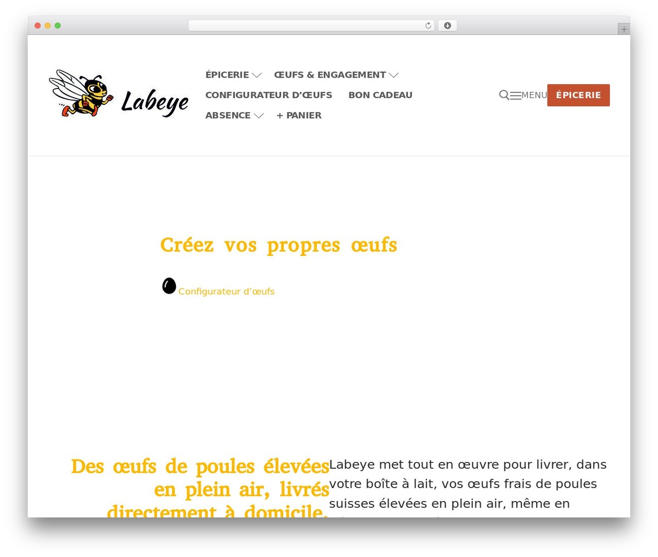 Customify Labeye WordPress theme - labeye.ch
