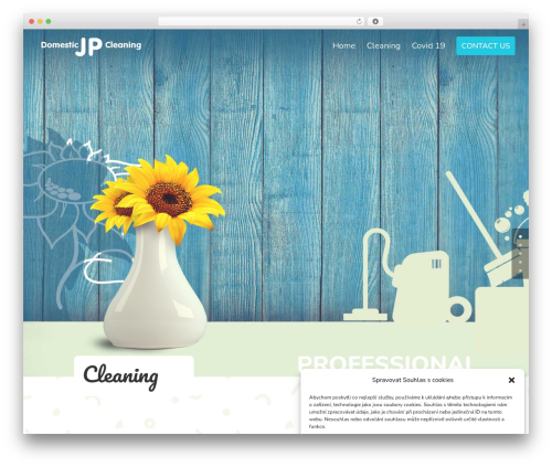 Divi company WordPress theme - jpdomclean.com