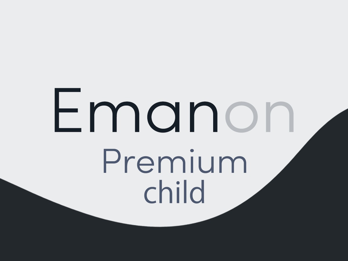 Emanon Premium child top WordPress theme