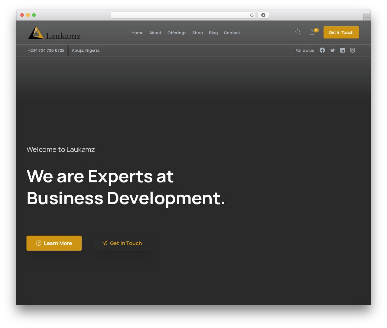 Essentials WordPress theme - laukamz.com