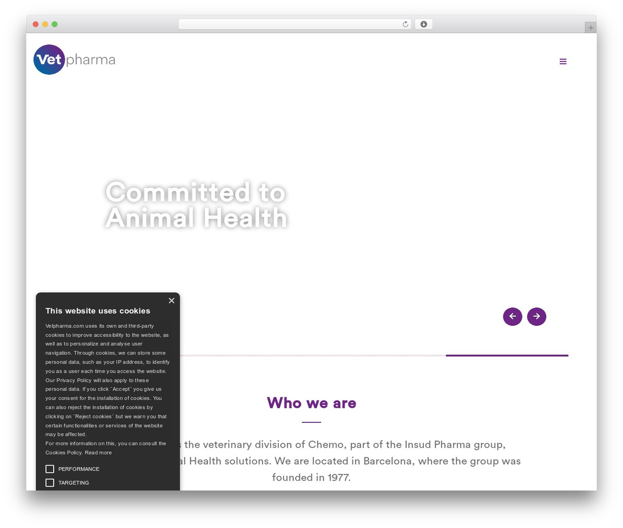 Executive Pro top WordPress theme - vetpharma.com Executive Pro top WordPress theme - vetpharma.com