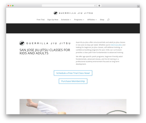 Sizeguide WordPress plugin - guerrillajiujitsu.com