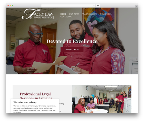 Divi theme WordPress - faceylaw.com