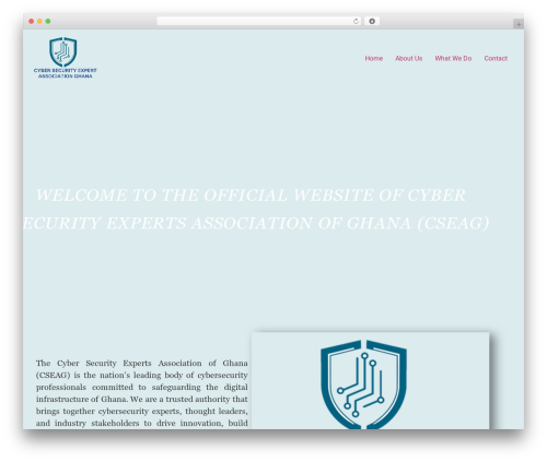 News element WordPress plugin - cyberexpertgh.org