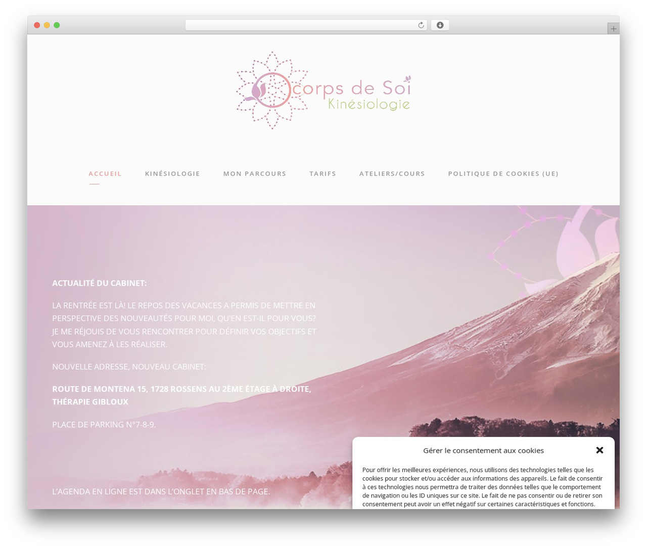 Kleanity WordPress theme - ocorpsdesoi.ch