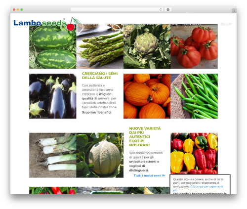 Aitec privacy cookie WordPress plugin - lamboseeds.com
