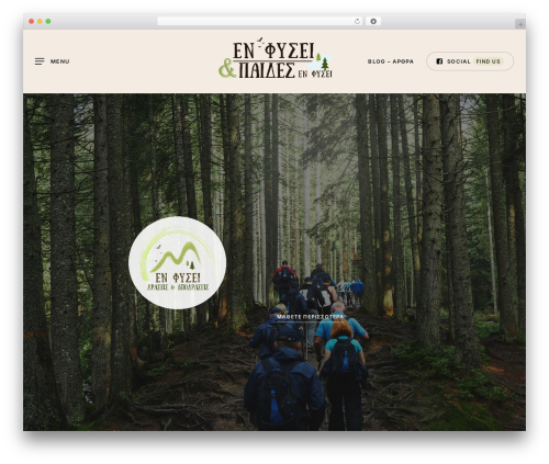 Forms WordPress plugin - enfysei.gr