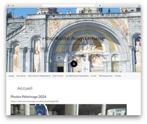 Ving free WordPress theme - hospitalite12.fr