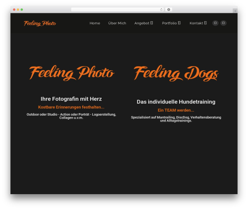 WordPress Form Customizer | CF7 Customizer (cf7-customizer) free WordPress plugin - feeling-photography.ch