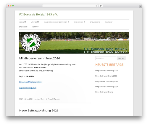 Best WordPress theme Tiny Framework - borussia-belzig.com