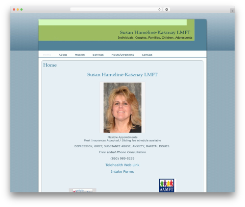 CCA WordPress website theme - kasznay.com