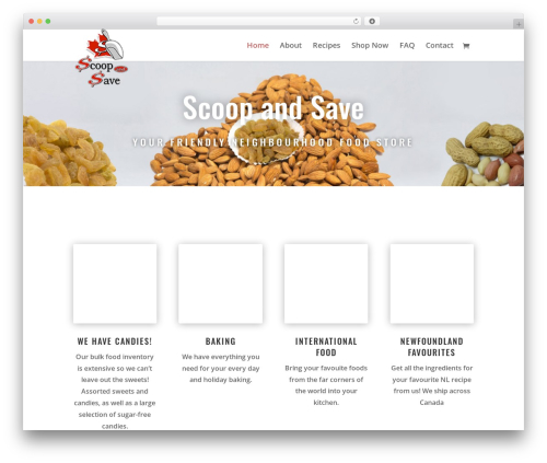 Divi_layout_injector WordPress plugin - scoopandsavenl.com