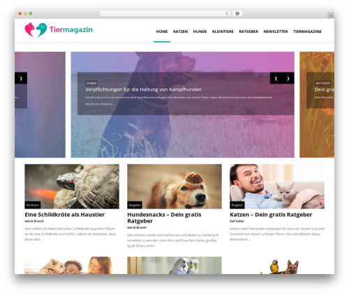 dRomB theme WordPress - tiermagazin.info