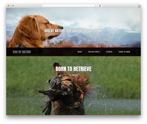 GPP Slideshow (gpp-slideshow) free WordPress plugin - dogbynature.com GPP Slideshow (gpp-slideshow) free WordPress plugin - dogbynature.com