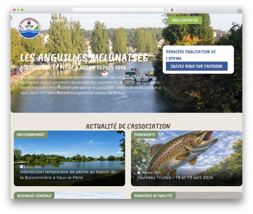 Hello Elementor WordPress theme - anguillesmelunaises.com