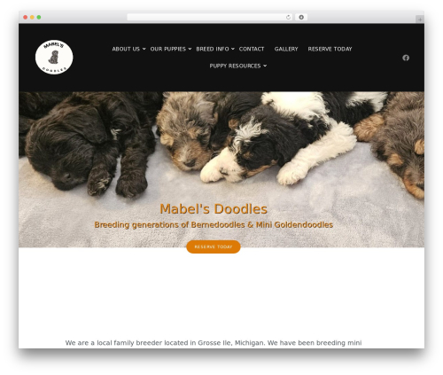 Layers for Elementor theme WordPress - mabelsdoodles.com