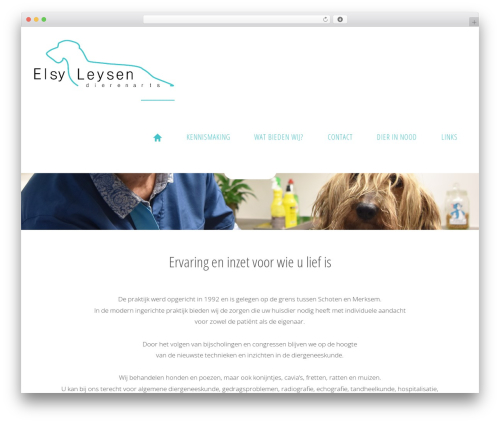 WordPress Picture / Portfolio / Media Gallery (nimble-portfolio) free WordPress plugin - dierenartsleysen.be WordPress Picture / Portfolio / Media Gallery (nimble-portfolio) free WordPress plugin - dierenartsleysen.be