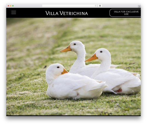 Cherry Search (cherry-search) free WordPress plugin - villavetrichina.it Cherry Search (cherry-search) free WordPress plugin - villavetrichina.it