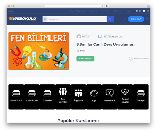 Masterstudy elementor widgets WordPress plugin - webokulu.net