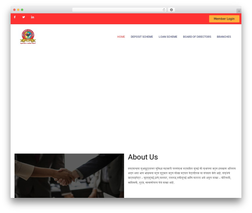 Bwd timeline WordPress plugin - suvidhapatsanstha.com