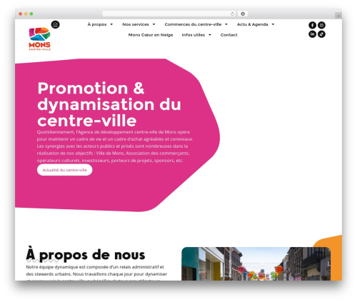 Divi eventmanager WordPress plugin - monscentreville.be