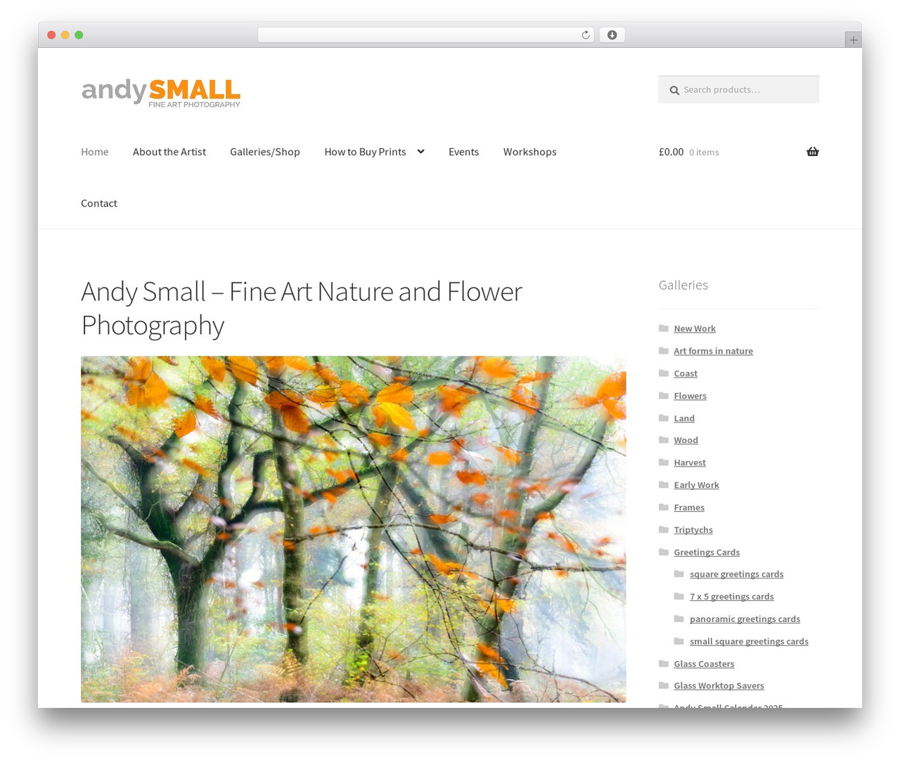 Storefront WordPress theme - andysmall.co.uk Storefront WordPress theme - andysmall.co.uk
