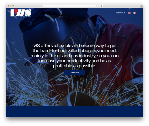 Struct best WordPress theme - iws.services