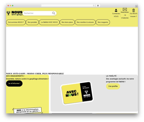 Theme WordPress DI Theme - antigaspi.com