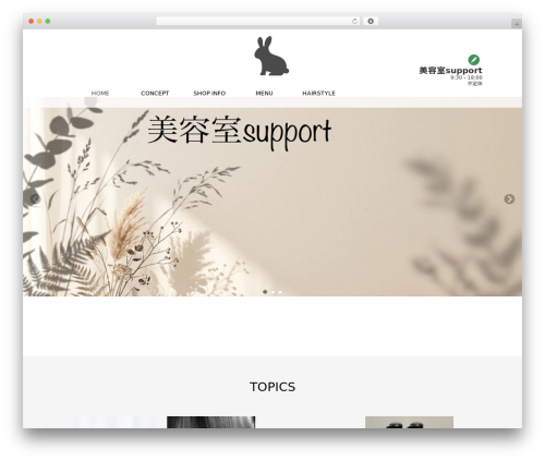 Really simple calendar WordPress plugin - w-arice.info