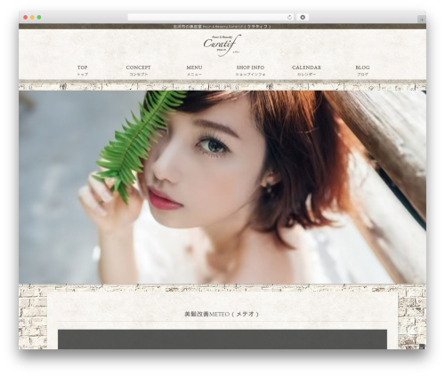 Activate_shotcode WordPress plugin - curatif2009.com