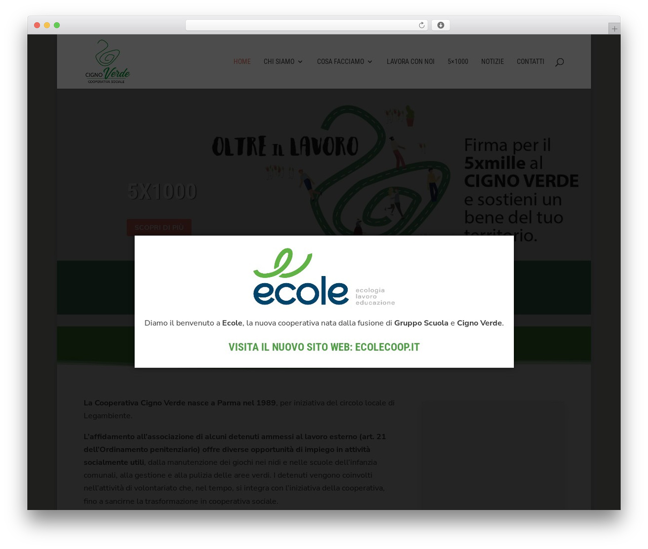 WordPress theme Divi - cignoverdecoop.it WordPress theme Divi - cignoverdecoop.it