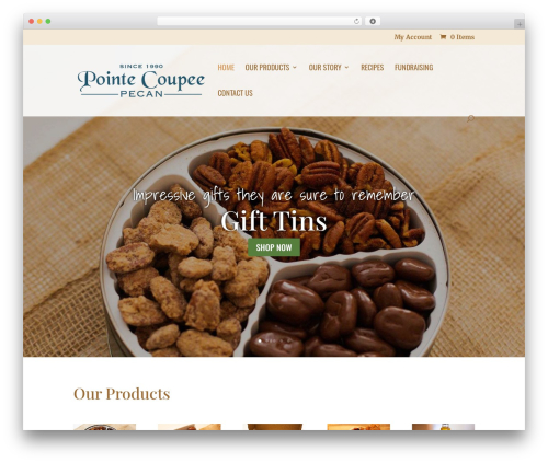 Screenreader WordPress plugin - pcpecan.com
