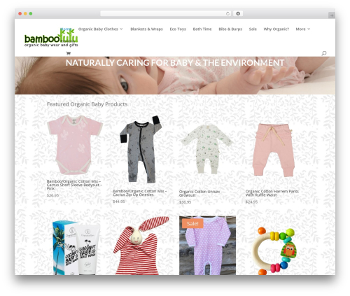 Afterpay woocommerce master WordPress plugin - bamboolulu.com