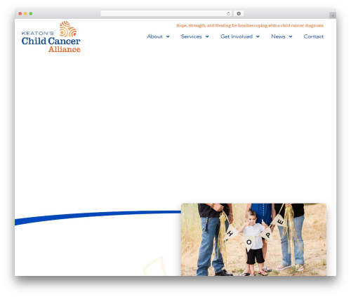 Campaign Monitor for WordPress (forms-for-campaign-monitor) free WordPress plugin - childcancer.org