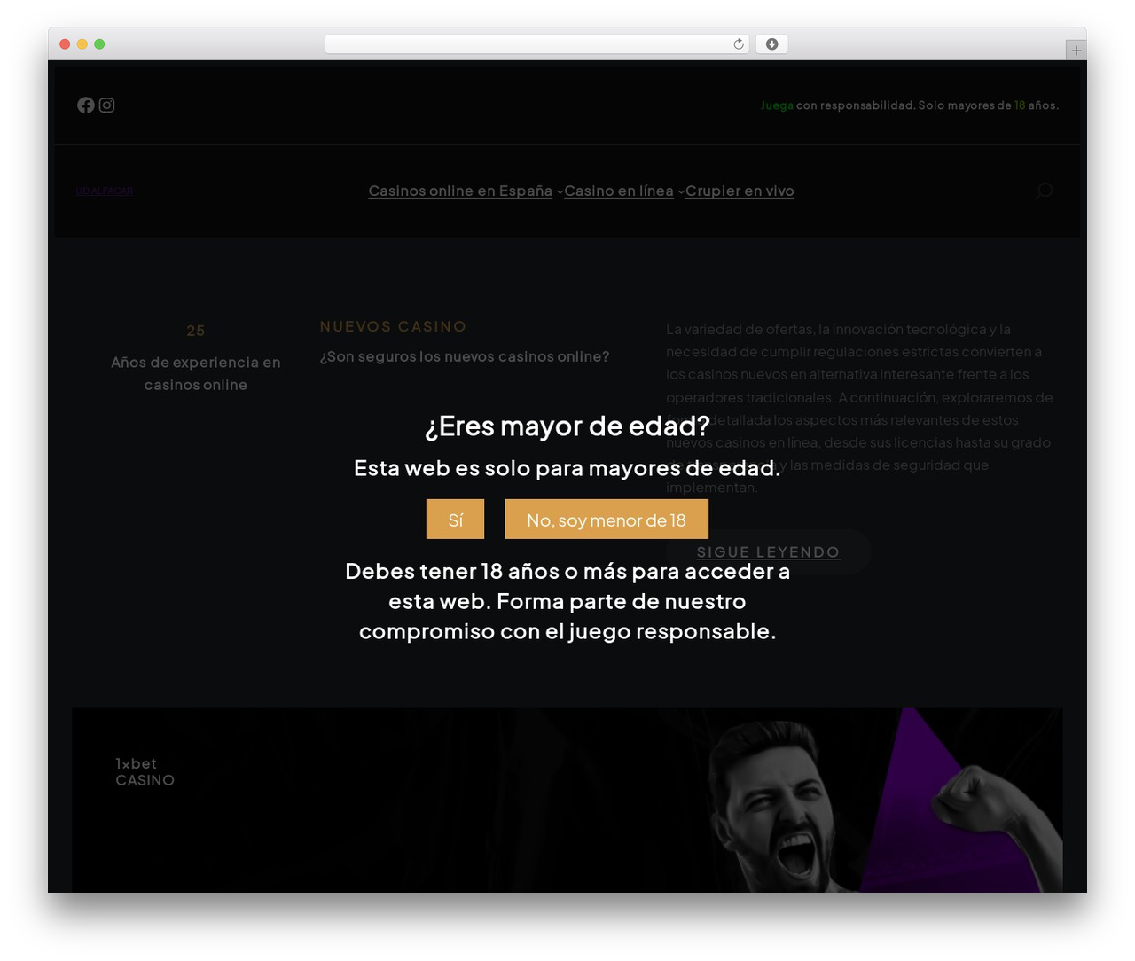 Kitchence top WordPress theme - udalfacar.es