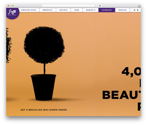 Strip premium WordPress theme - strip-china.cn