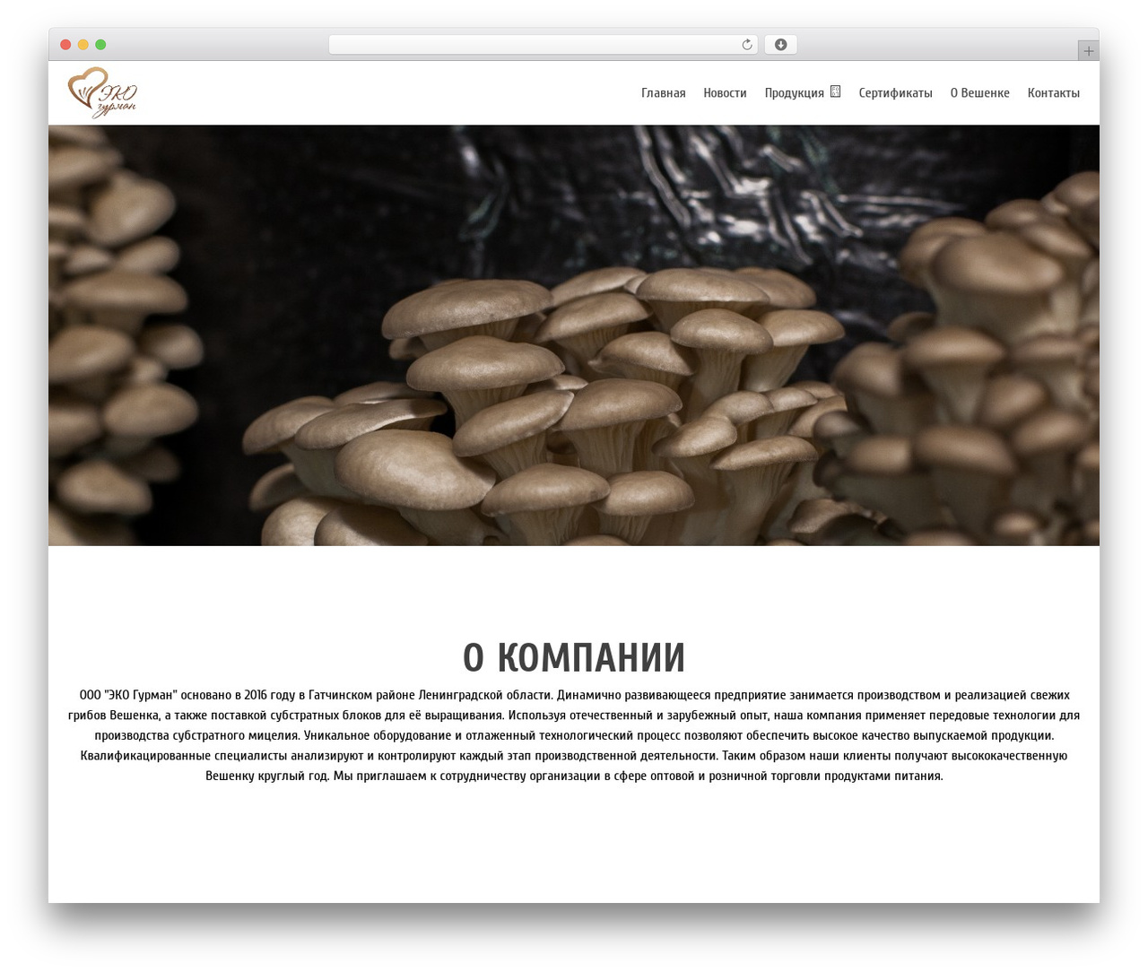 Theme WordPress Zerif Lite - ecogurman.com Theme WordPress Zerif Lite - ecogurman.com