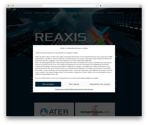 Divi WordPress theme - reaxis-groupe.com