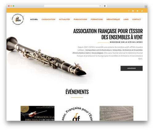 Freestyle WordPress theme - afeev.fr