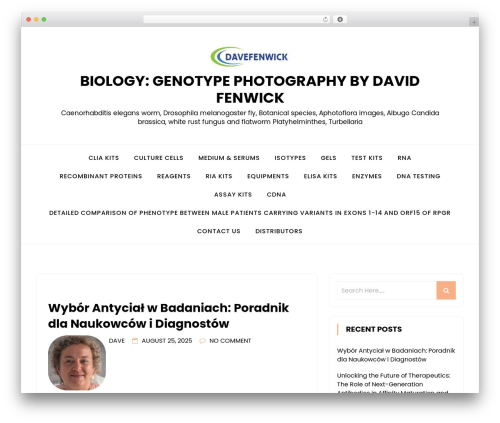 minimalblog WordPress theme image - davefenwick.com