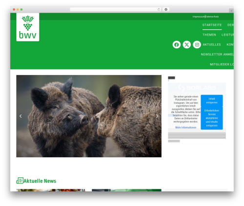 Brs year WordPress plugin - bwv-net.de